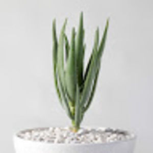 Meet your Posher, Isabelle